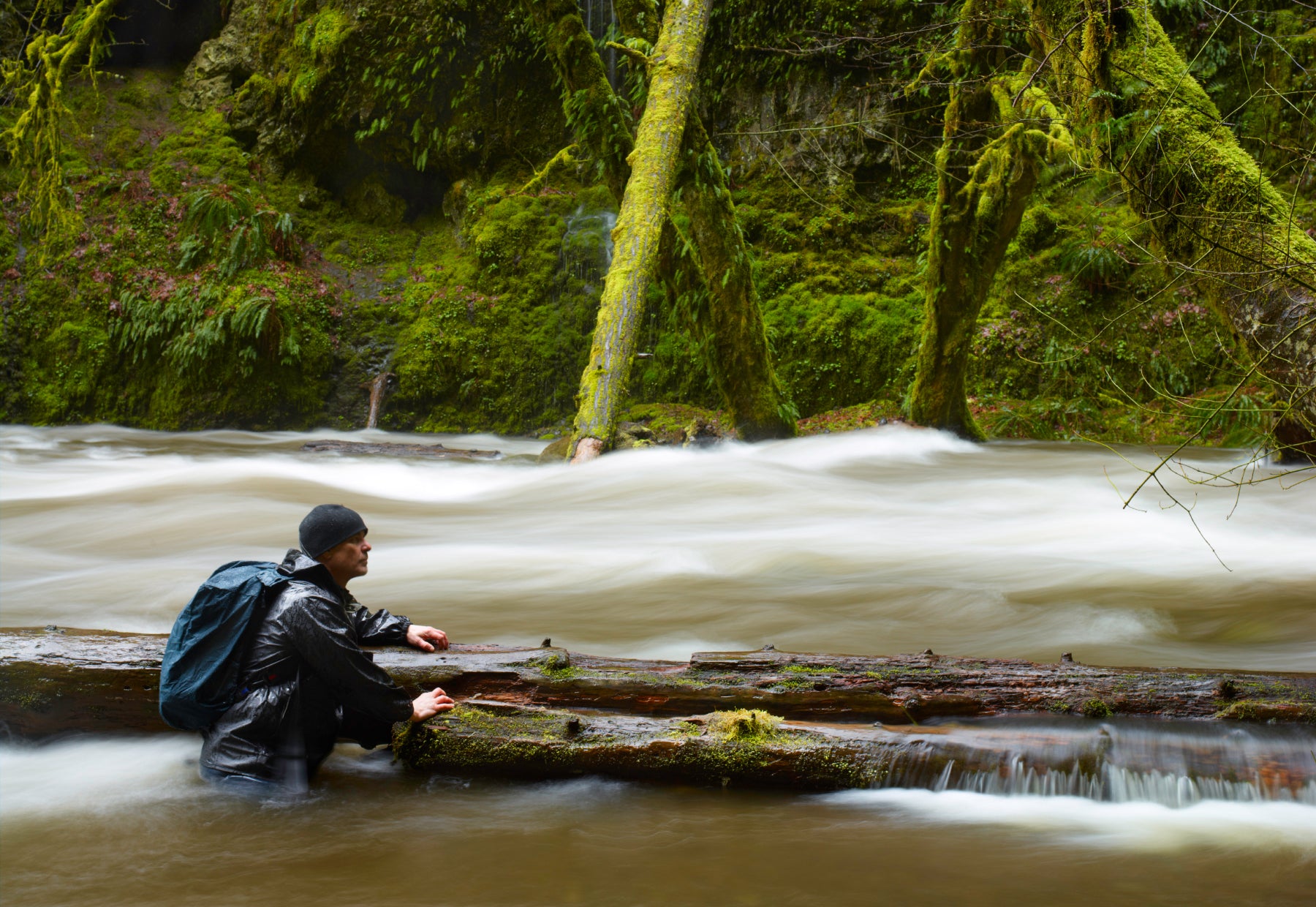 Portrait of Peter Lik wading waist deep in the rapids of the Columbia River Gorge in Oregon with electric green moss on the trees along the coast