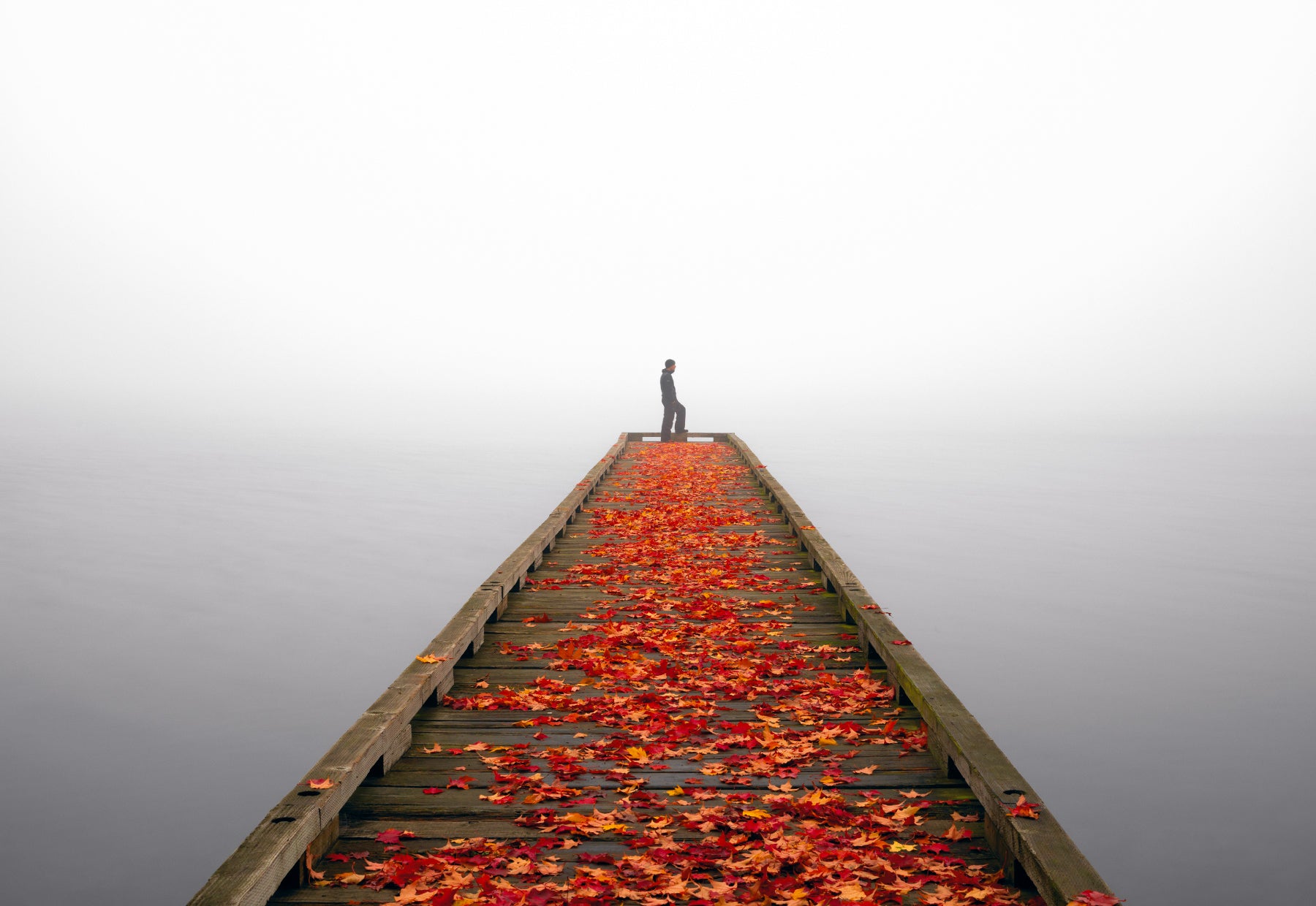 Silhouetted portrait of Peter Lik standing at the end of a wooden pier along the coast in Seattle, Washington covered in bright orange and yellow leaves as the gray mist rolls in 