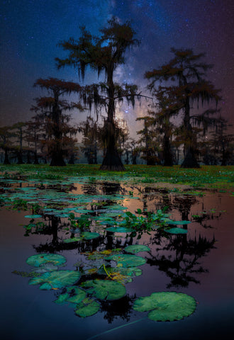 Starlight from Peter Lik, cypress trees draped in Spanish moss beneath the Milky Way in Caddo Lake, lily pads in the foreground