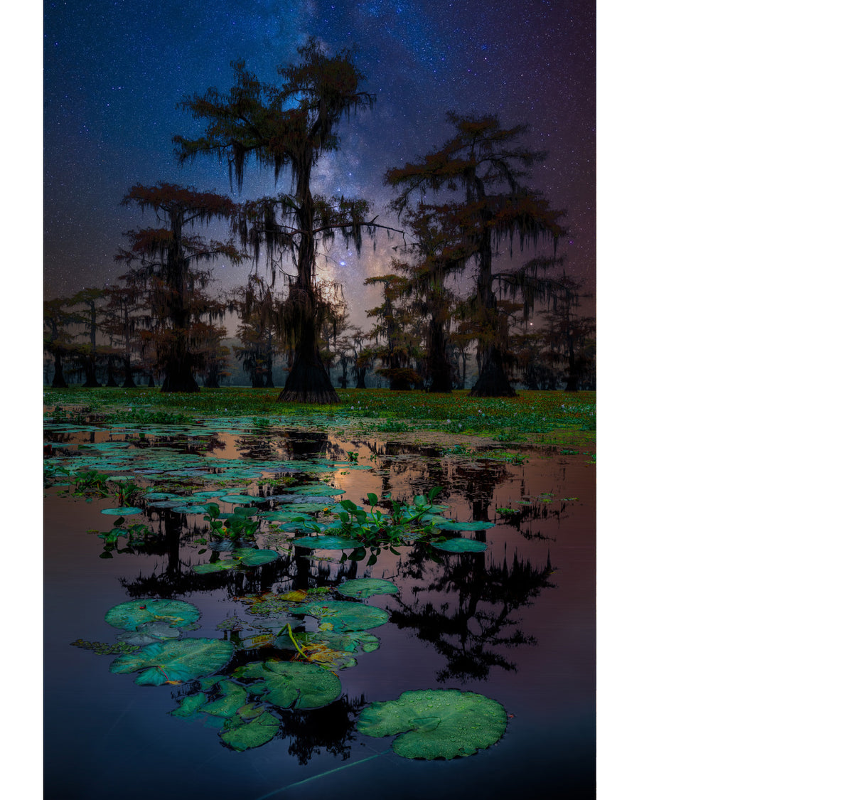 LIK Fine Art