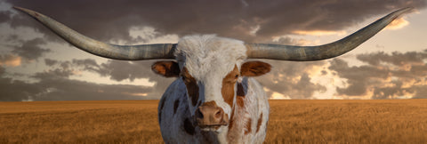 The Sheriff