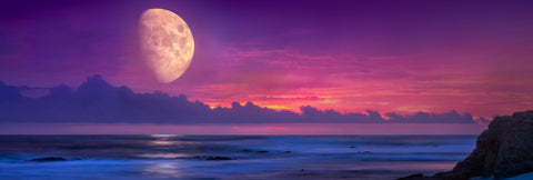 Twilight Whisper
