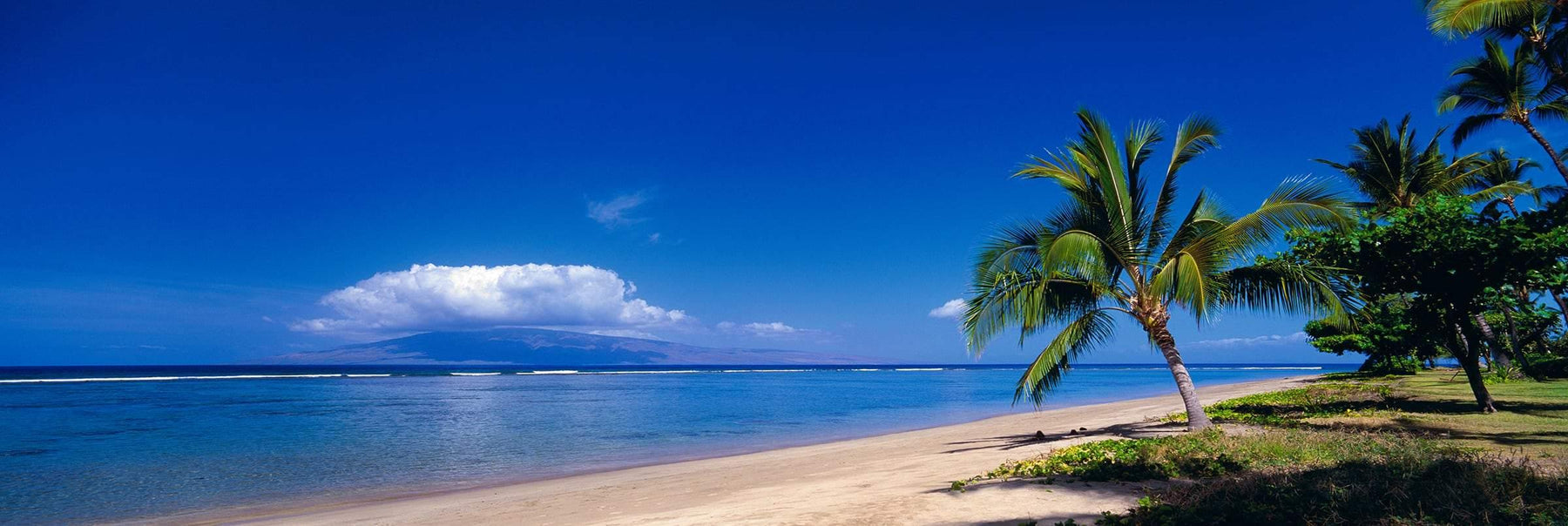 Palm trees on the edge of Baby Beach Hawaii with a cloud covering the distant island of Molokai