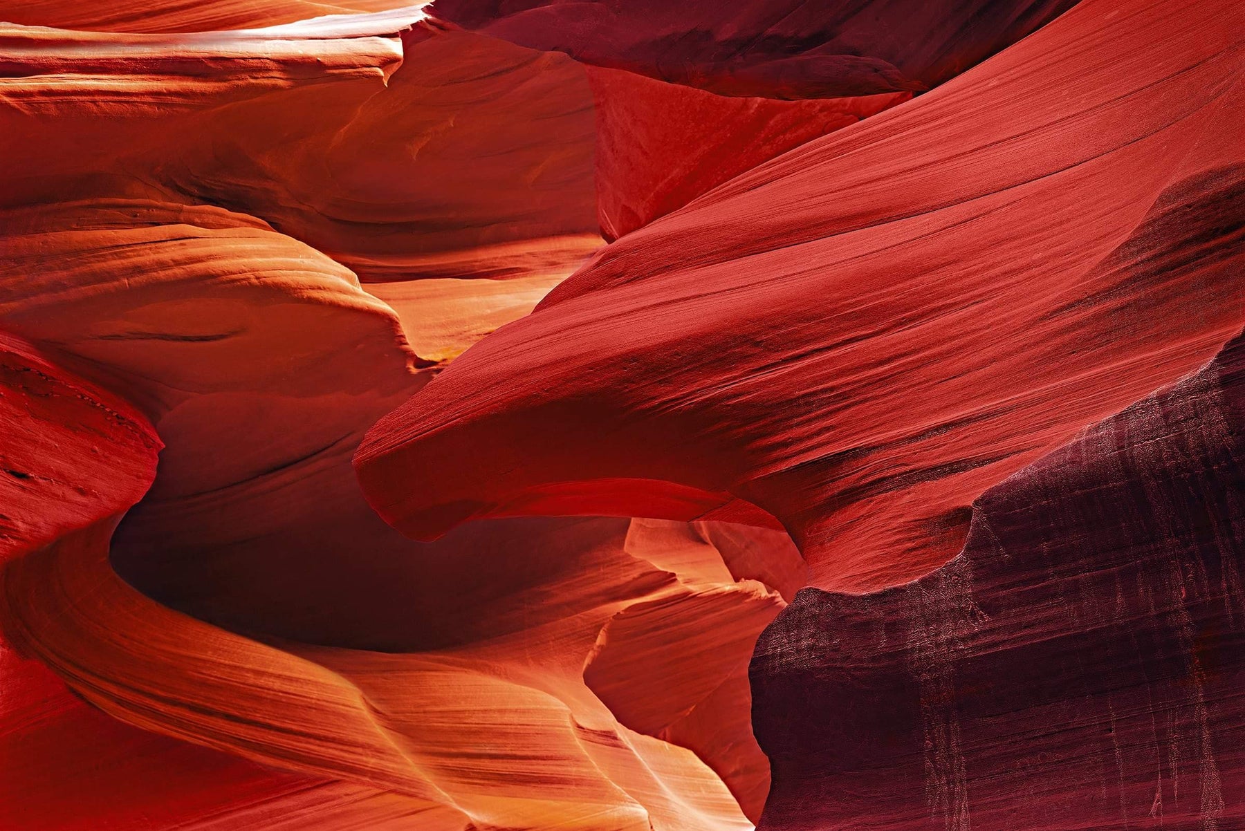 Red and orange eagle shaped sandstone wall within the slot canyons in Antelope Canyon Arizona