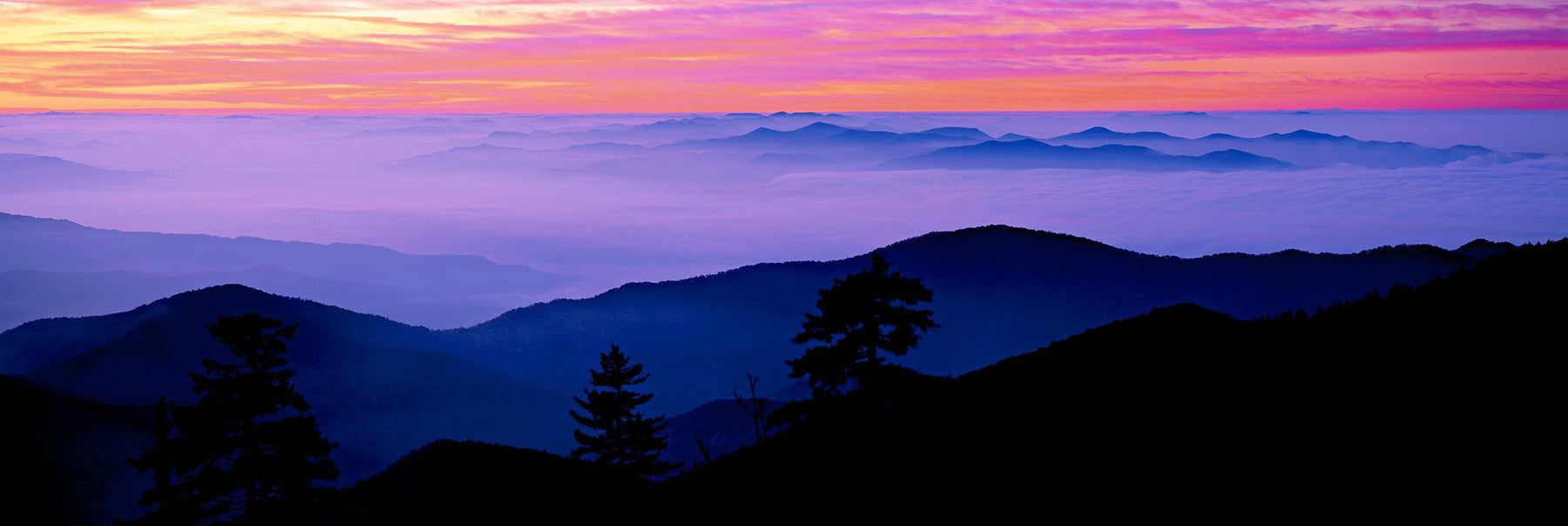 View looking down over the fog covered Great Smoky Mountains of Tennessee at sunrise