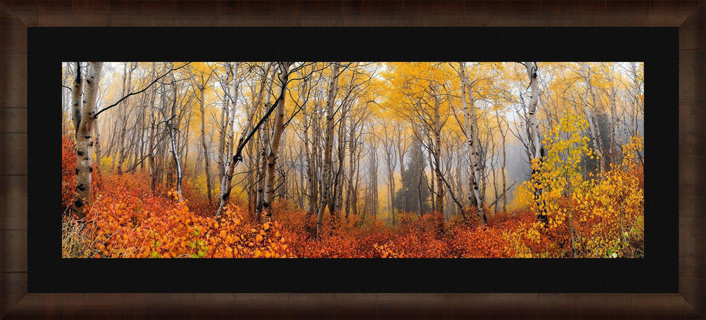 Autumn Mist - Fine Art Photograph by Peter Lik