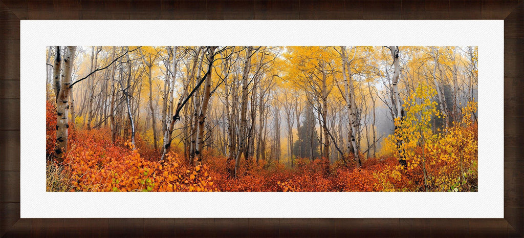 Autumn Mist - Fine Art Photograph by Peter Lik