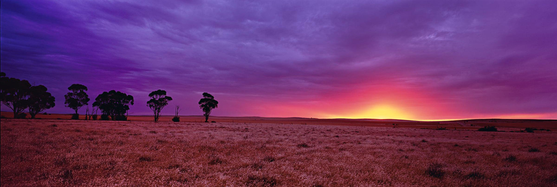 Tree and brush filled prairie of Burra Australia being lit up by the sun as it pierces the horizon