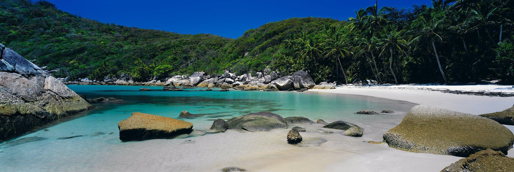 Lagoon filled with boulders along a palm tree filled beach at Bedarra Island Australia