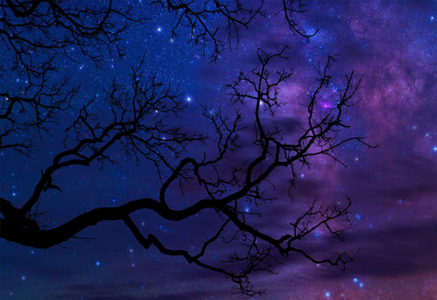 Indigo Sky Limited Edition Photograph by Peter Lik - For Sale on