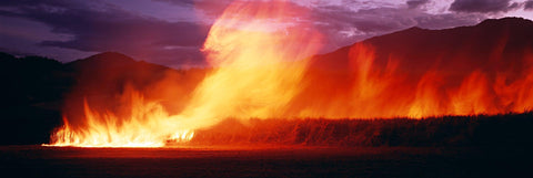 Fire burning the cane fields along the hillside of Redlynch, Australia at sunset