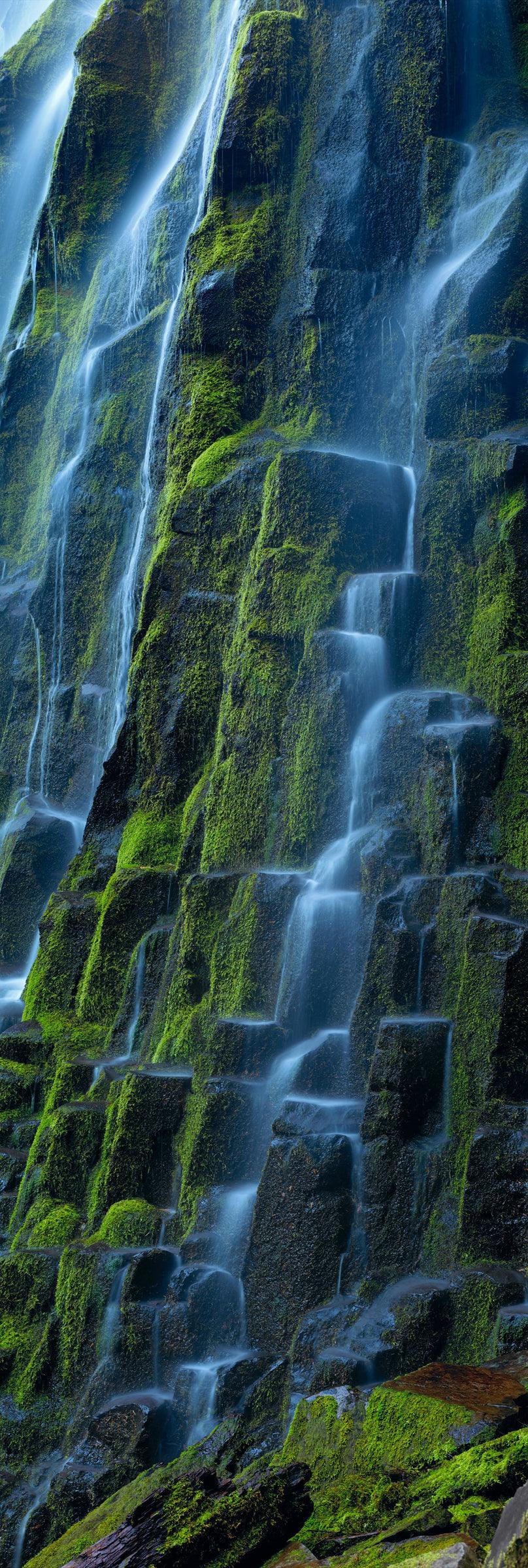 Water pouring down a moss covered black rock wall at Proxy Falls Oregon