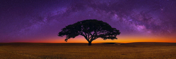 Peter-Lik-Celestial-Dreams-