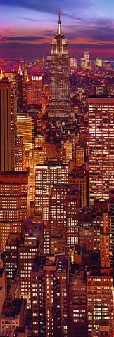 Rooftop view of the Empire State building and New York City lit up at night 