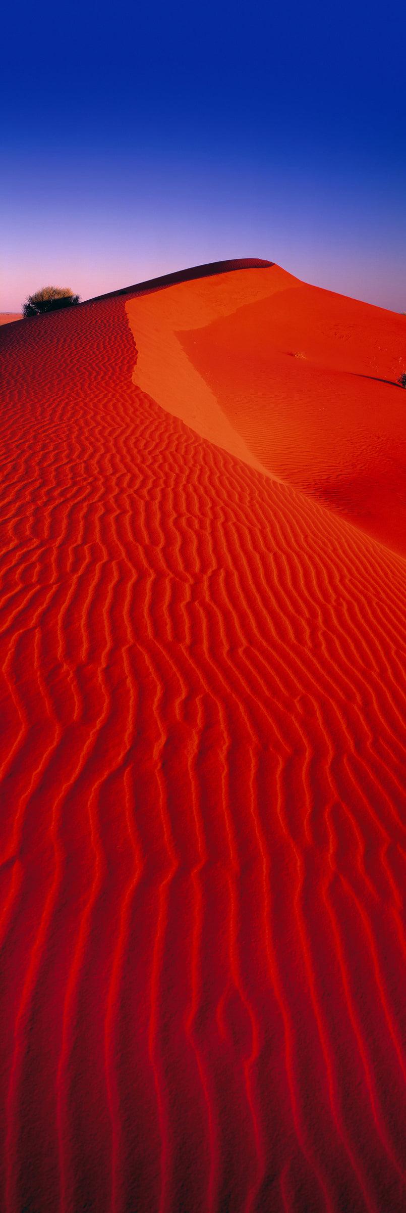 Red windswept sand dune in the Simpson Desert Australia below a purple and blue sky