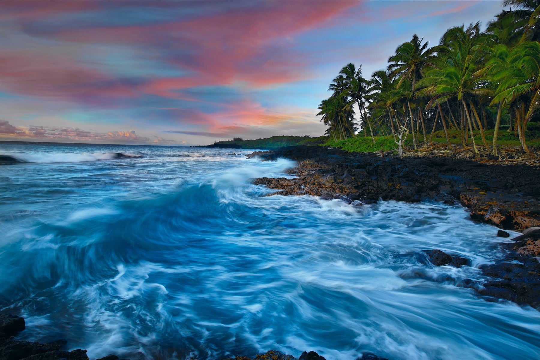 Waves crashing along a palm tree lined rock coast of the Big Island Hawaii
