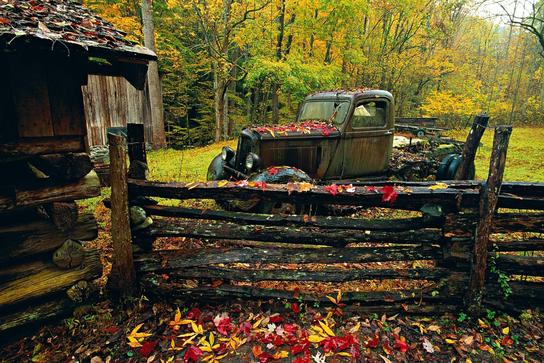 Leaf covered shack fence and old truck in Great Smoky Mountains National Park Tennessee in Autumn