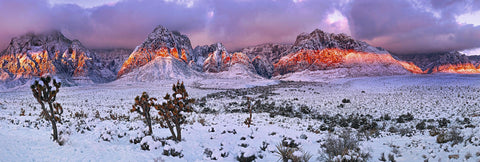 Snow covered Joshua trees desert floor and mountains of Red Rock Canyon Nevada