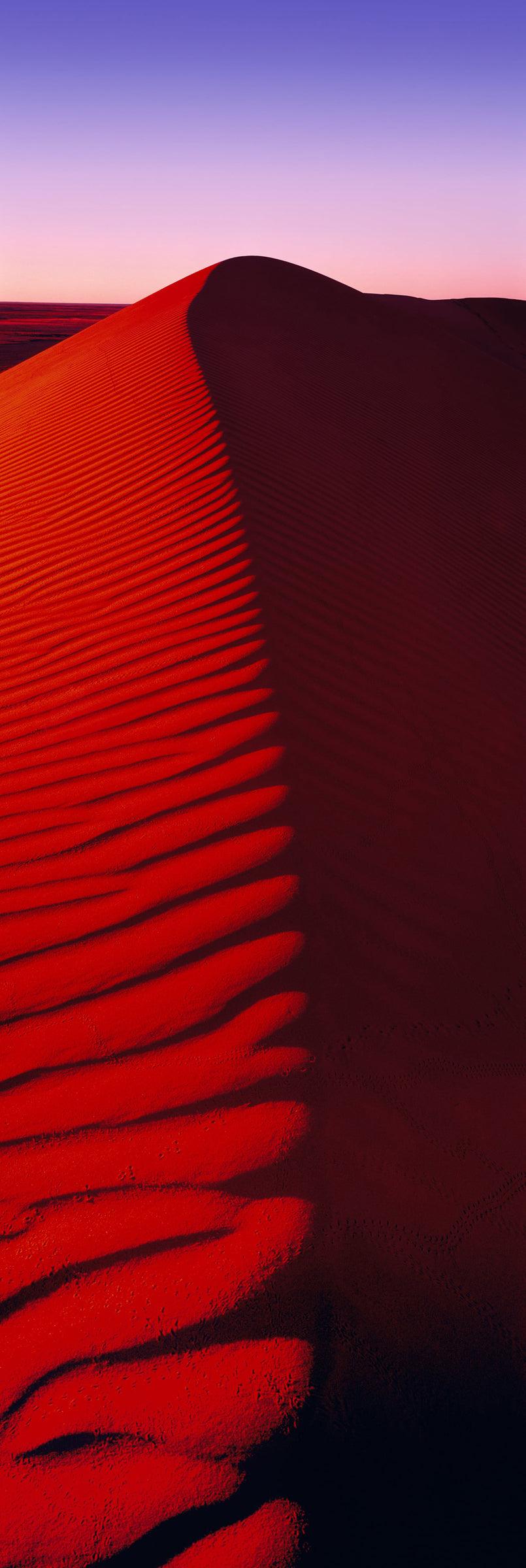 Dune Stairway  Fine Art Photograph by Peter Lik
