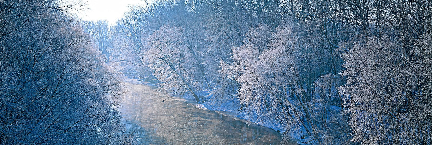 Sun shining through the frozen forest of trees surrounding a river in Wayne National Forest Ohio