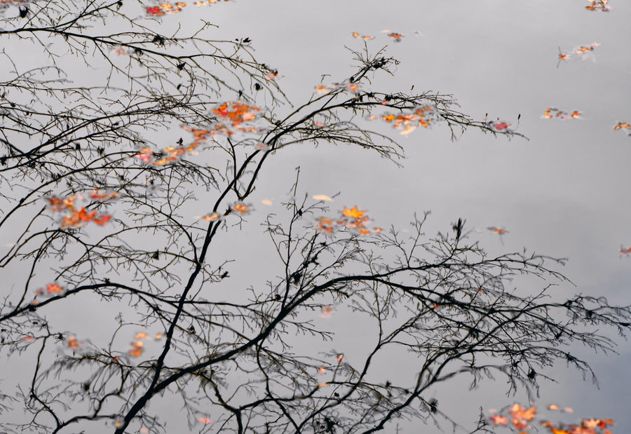 Echoes of the Temple - LIK Fine Art