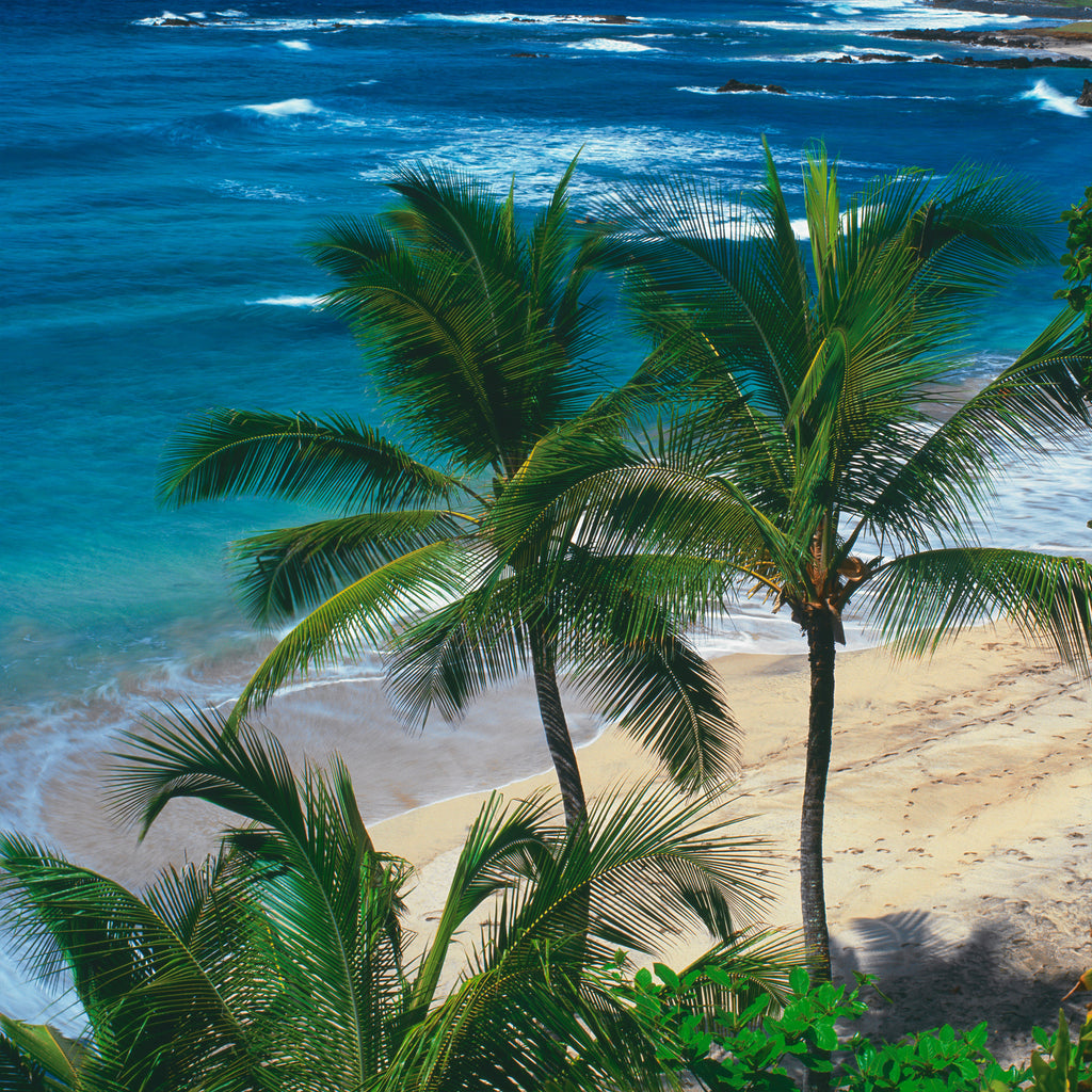 Ocean Breeze. Fine Art Photographs by Peter Lik.