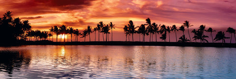Setting sun and palm tree silhouettes reflecting off an inlet along the shore of The Big Island Hawaii