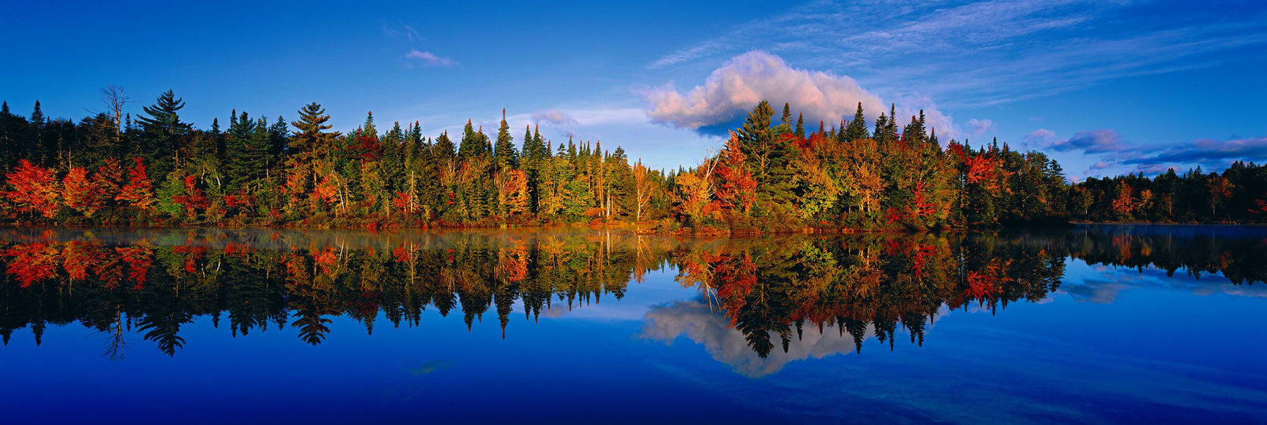 Reflections of the Autumn colored forest on the Androscoggin River New Hampshire