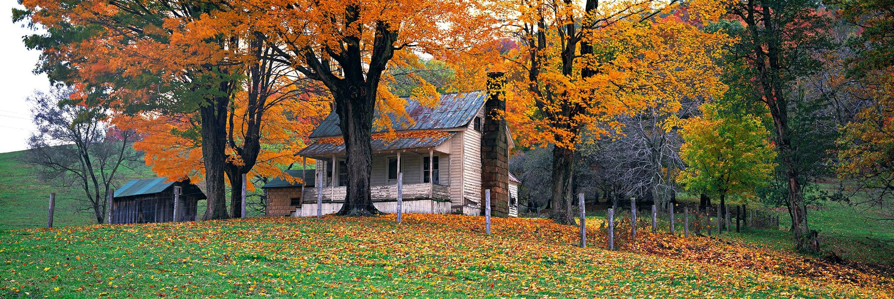 Old cottage and shack surrounded by Autumn colored trees in the leaf covered hills of Meadow River West Virginia