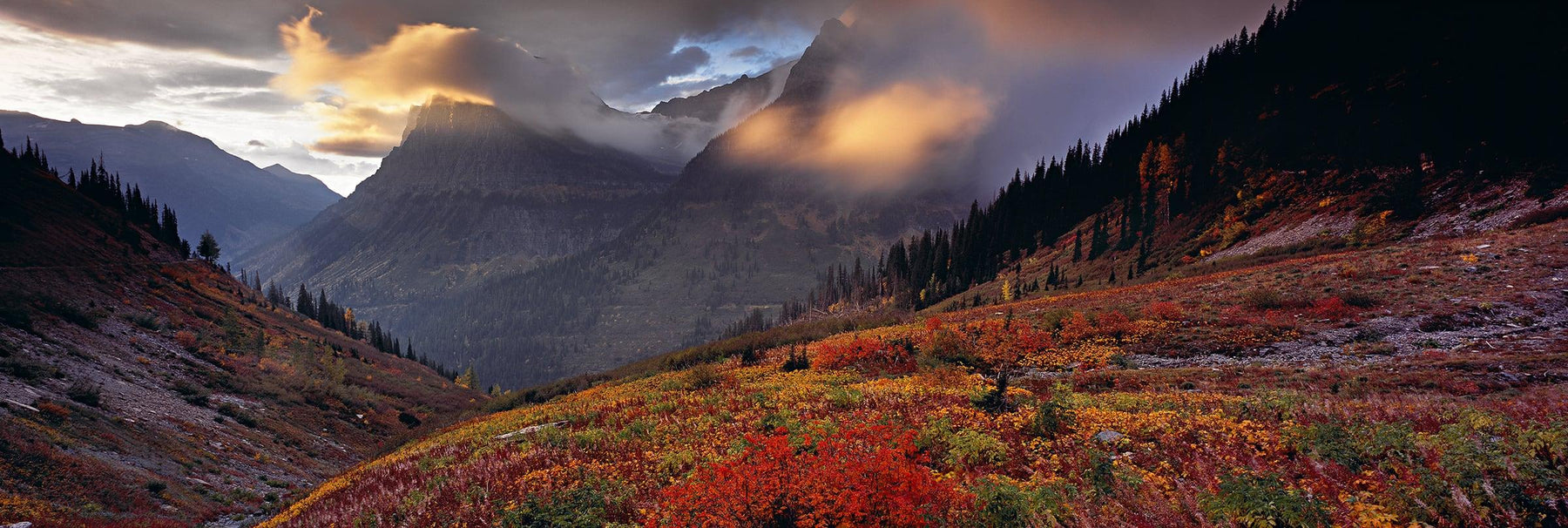 Sun shining on a colorful hill of plants with cloud covered mountains in back at Glacier National Park Montana 