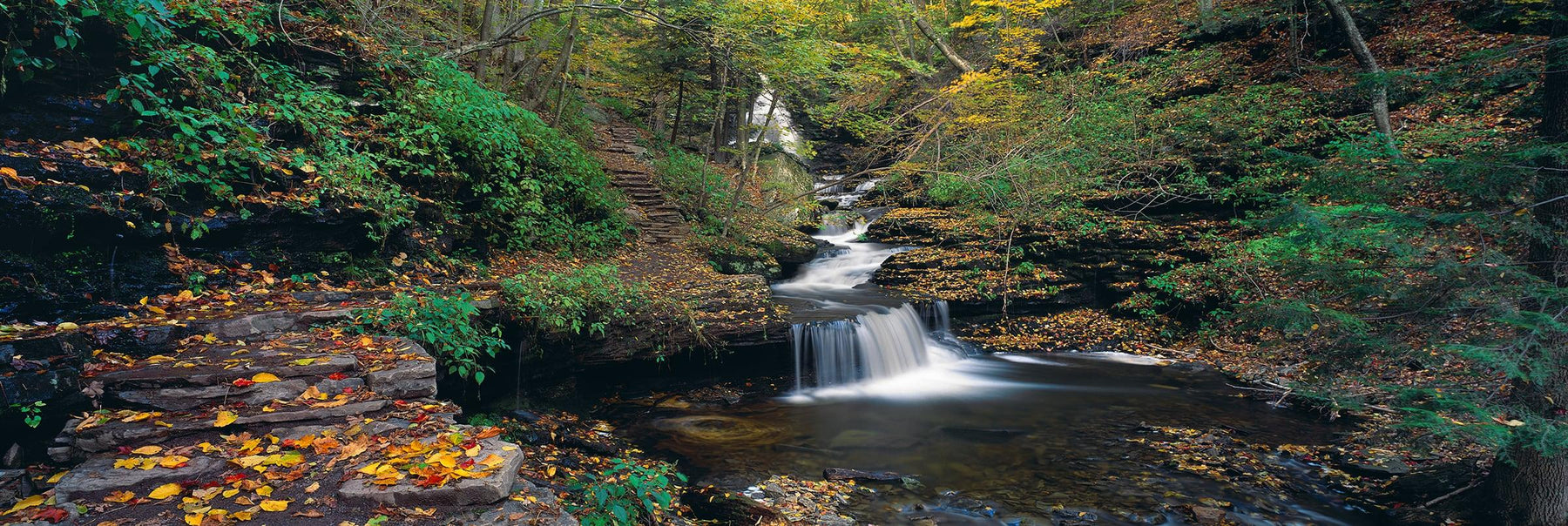 Leaf covered path in front of small waterfalls flowing into a black rock riverbed in Ricketts Glen State Park Pennsylvania