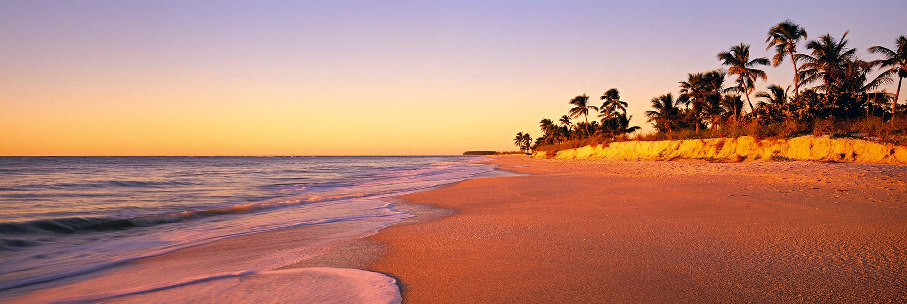 Golden sand beach lined with Palm trees on the shores of Captiva Island Florida