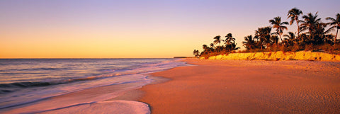 Golden sand beach lined with Palm trees on the shores of Captiva Island Florida