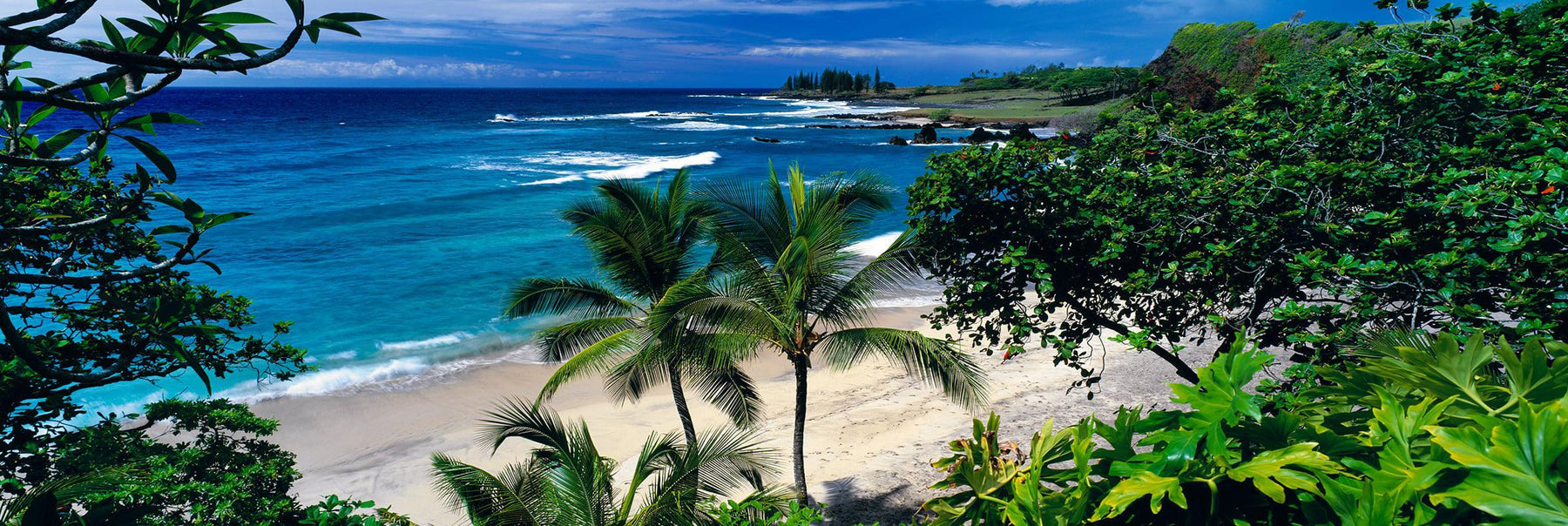 View looking through the tropical foliage down to Hamoa Beach Hawaii