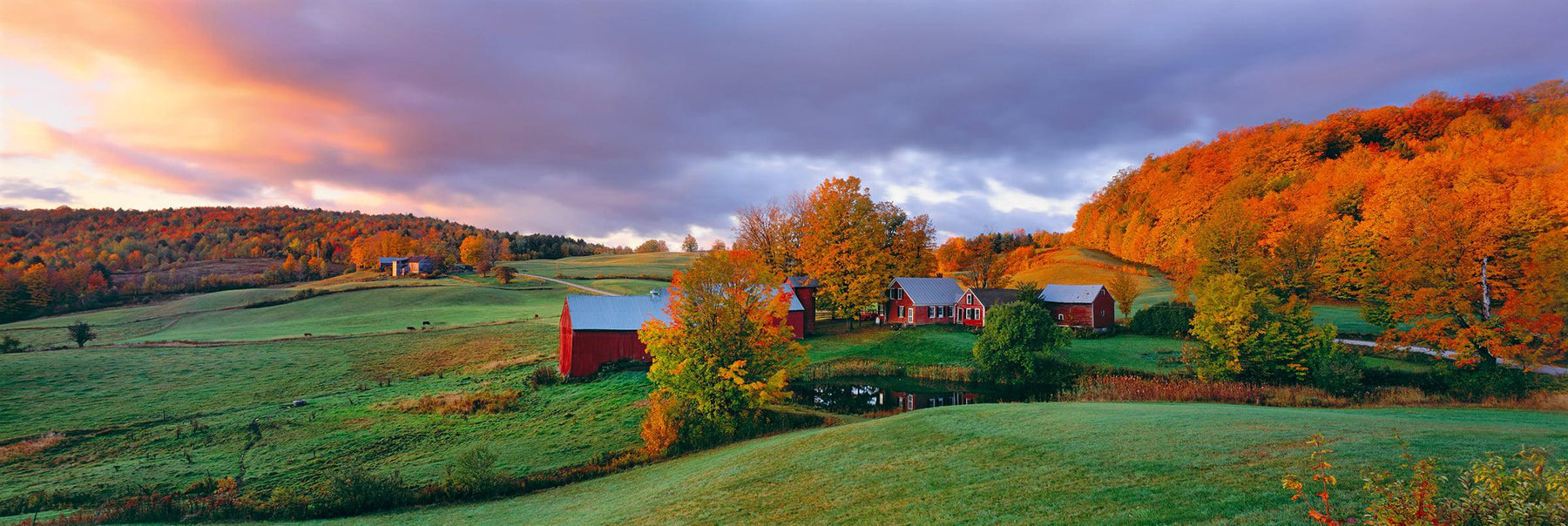 Red Barn and house of Jenne Farm Vermont in the middle of a field surrounded by trees in Autumn