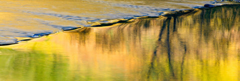 Close up of a calm river rolling over rocks reflecting the yellow Autumn colors of the Colorado forest