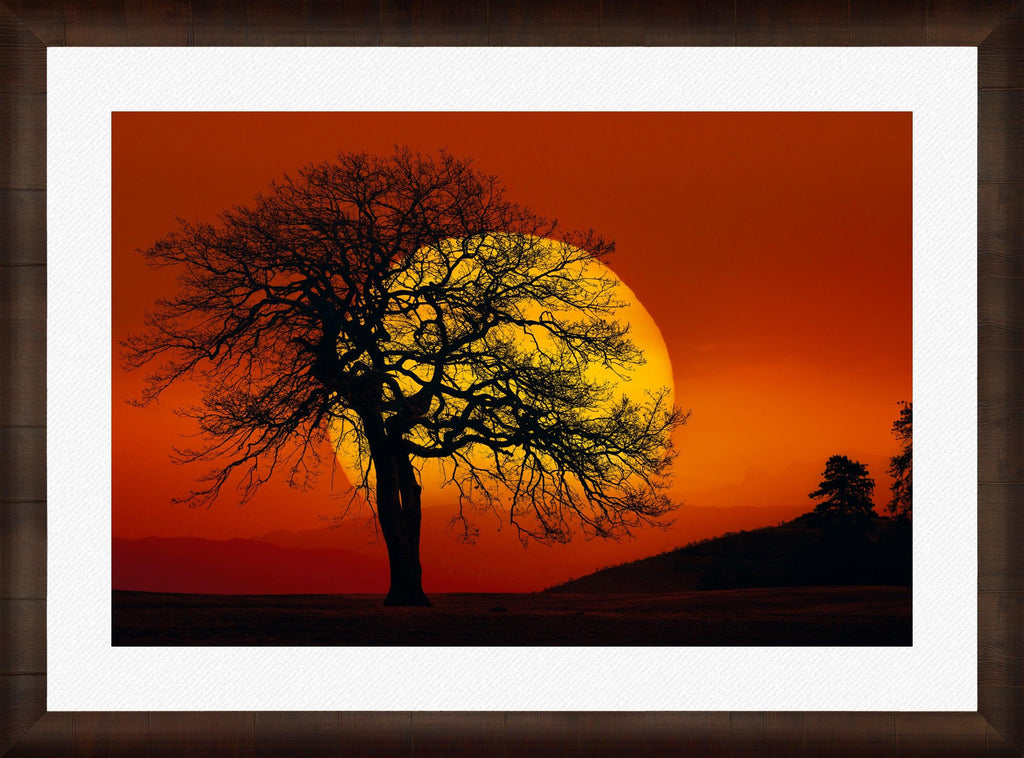 Peter Lik - In Search of the Sun | Fine Art Photograph