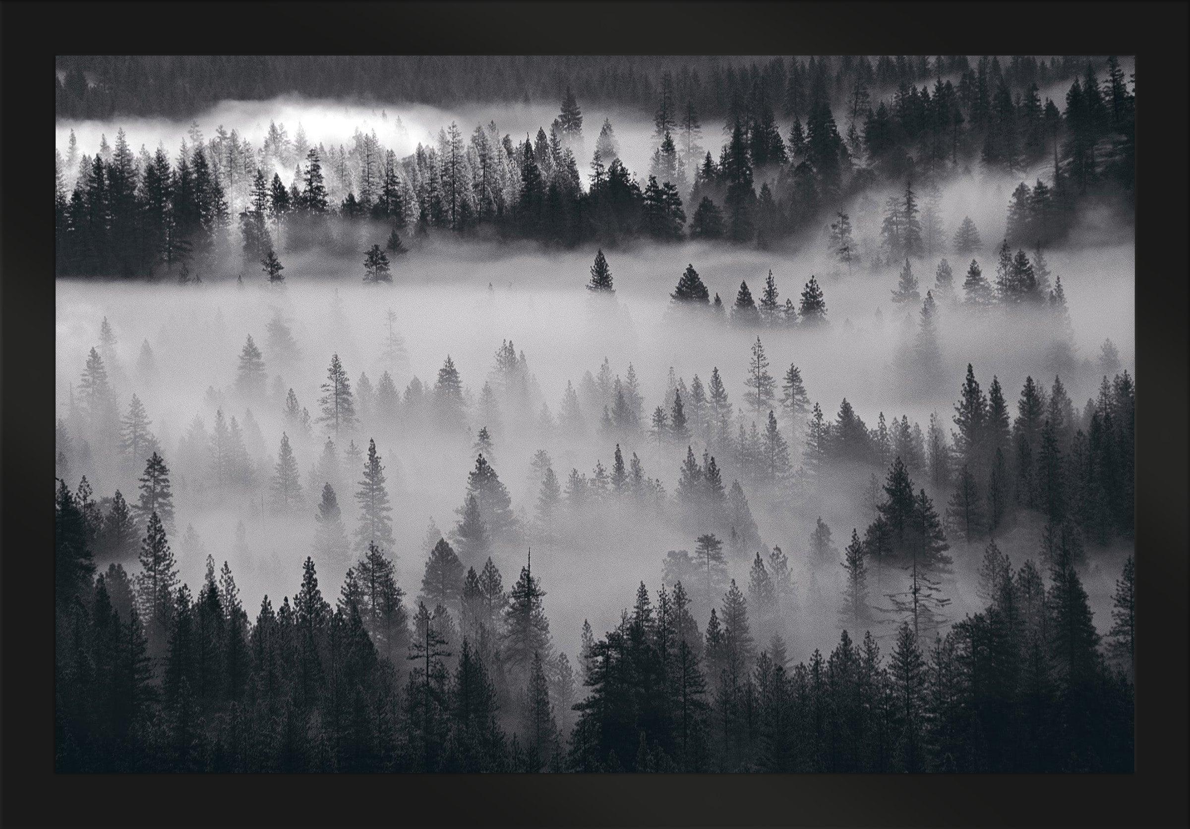 Images Of Mist
