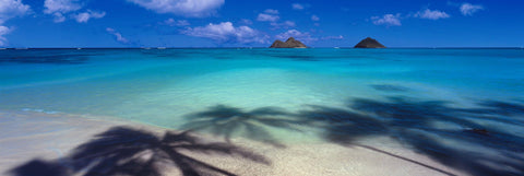 Palm tree shadows on the white sand beaches of Lanikai Hawaii with two islands in the background