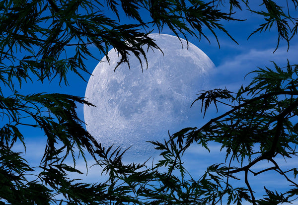 Peter-Lik-Lunar-Veil-Framed-