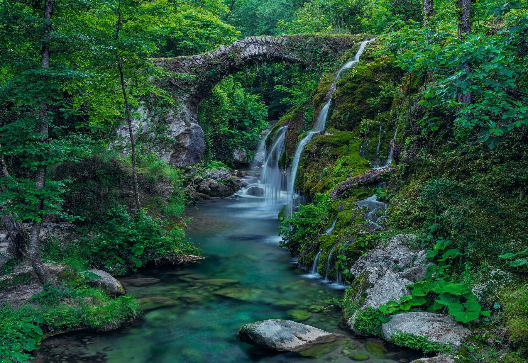 Old stone bridge over a moss waterfall and stream in a green forest in Italy