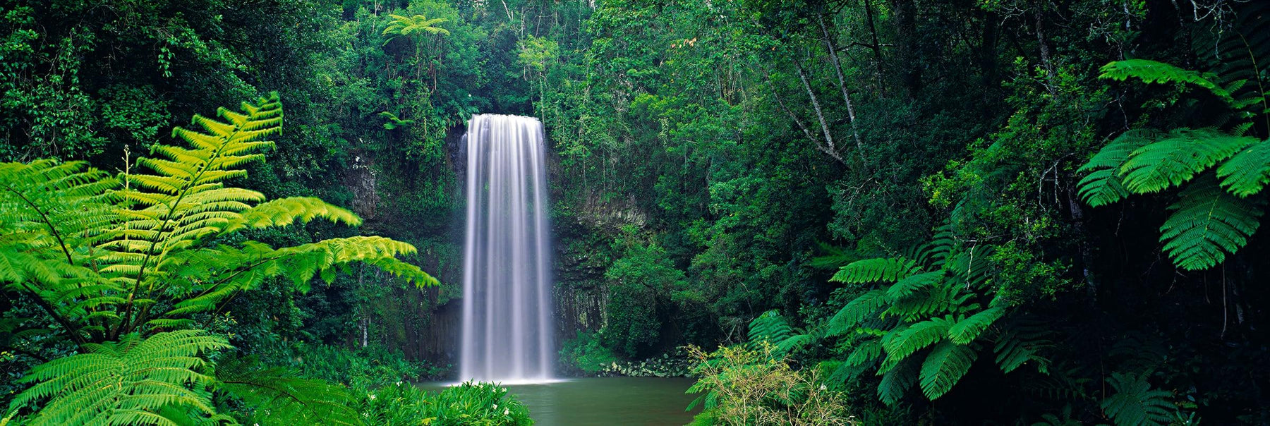 Waterfall pouring into a river in the tropical rainforests of Queensland, Australia