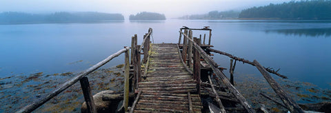 Old wooden jetty in a misty inlet full of trees in Peggy's Cove Nova Scotia