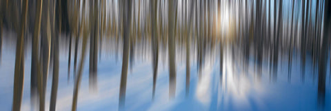 Moon shining through a blurred snow covered forest in Aspen Colorado