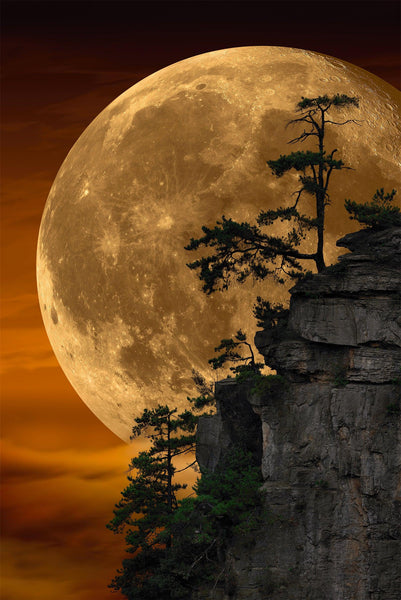 künstliches mondlicht Peter Lik - Moonlit Dreams