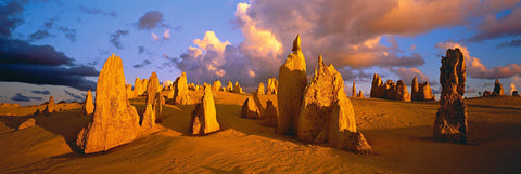 Termite mounds on sand dunes in the Pinnacles Desert Nambung National Park Australia 