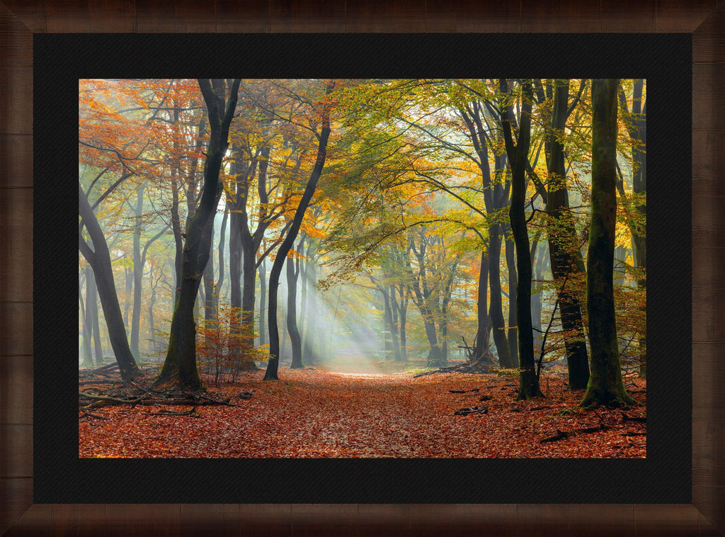 Mystic Pathway. Fine Art Photograph by Peter Lik.