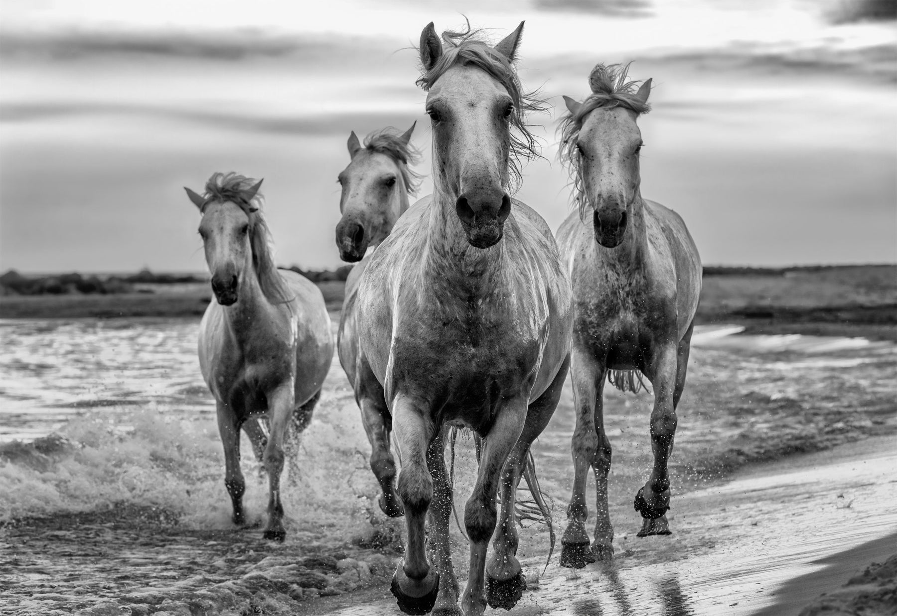 Lik Peter Lik - Natural Beauty | Fine Art Photograph