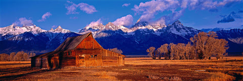 Old wooden barn in a dirt field with trees with snow capped mountains of the Grand Teton National Park Wyoming
