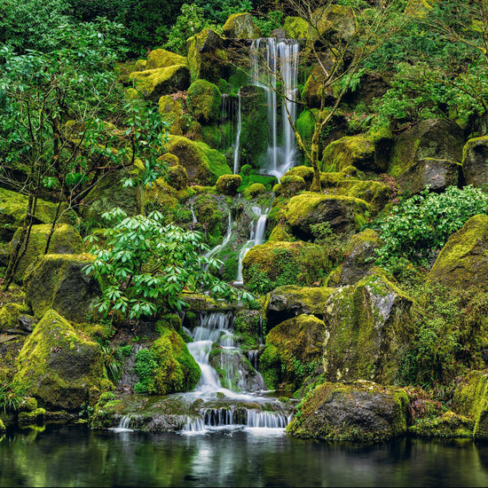 Waterfall flowing down a plant and moss covered rocky hillside in Oregon